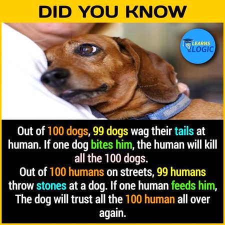 Did you Know