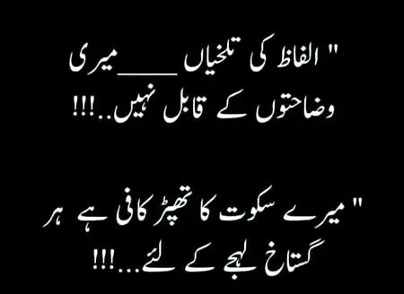 Attitude Poetry image