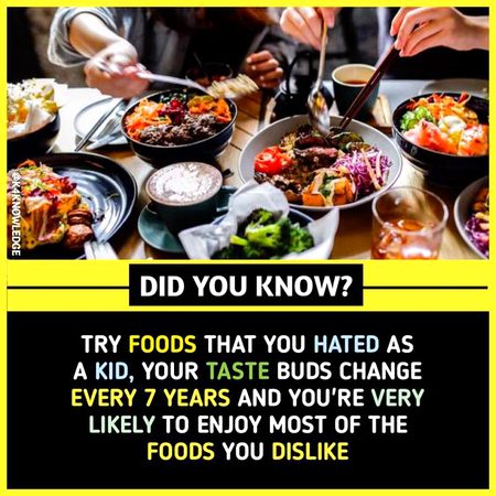 Did you Know
