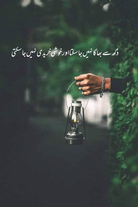 🖤Syed Zada🔥