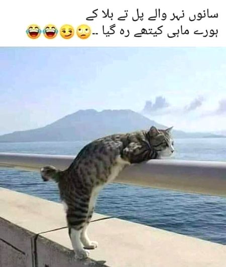 Kithy vy Mera maahi??