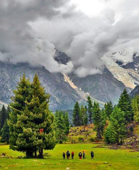 Pakistan beauty😍..