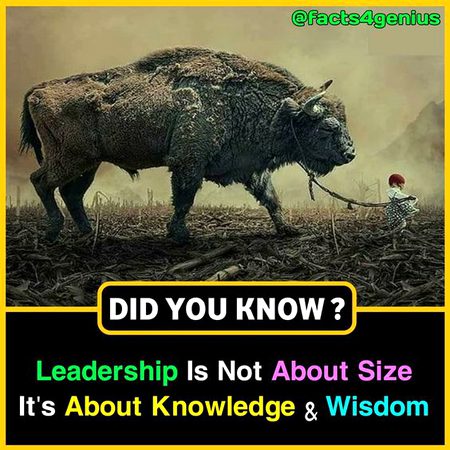 Did you Know