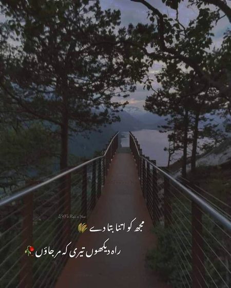 JAAN E ALI..G