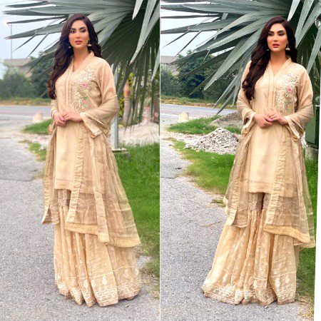 Pakistani Celebs image