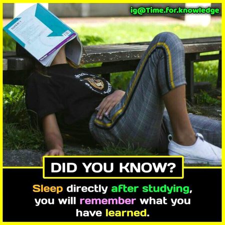 Did you Know