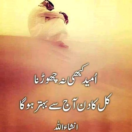 🍁Zoq_Shab🍁