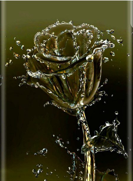 sheeshon ka masiha koi nahi
jo toot gaya so toot gaya