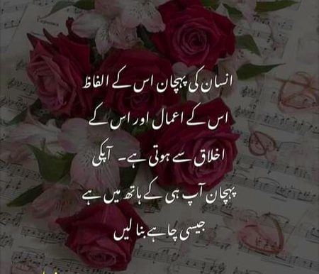 💕💕💕 $$$ 💕💕💕