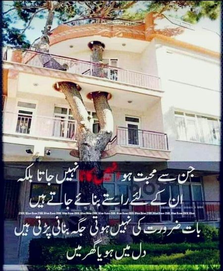 بات ہے گہری مگر بات ہے سمجھنے کی۔۔۔۔😊😊😊