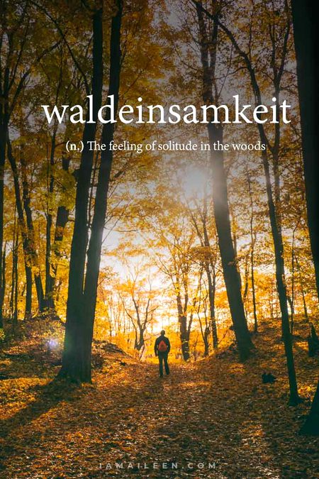 Word with their explanatory meaning