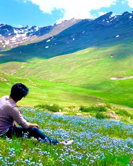 Beautiful Nature image