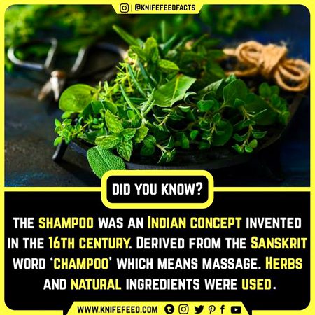 Did you Know