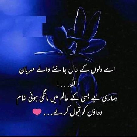 💖💖💖💖💕💕💖💖💖💖