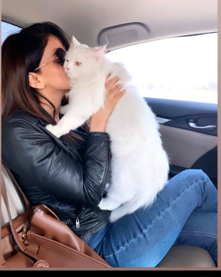 Pakistani Celebs image