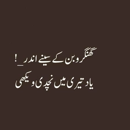 🍁Zoq_Shab🍁