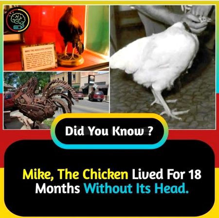 Did you know