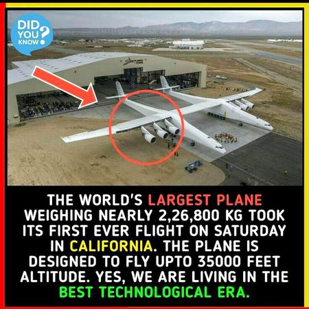 Did you Know