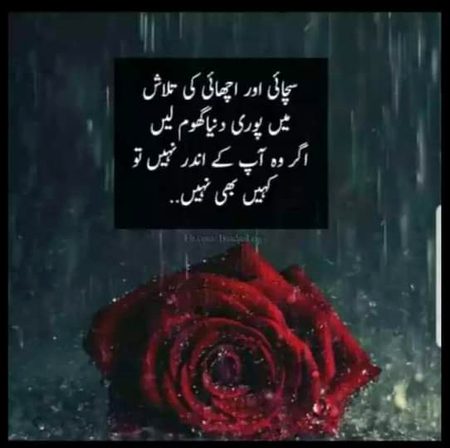 🍁Zoq_Shab🍁