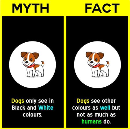 Did you Know
