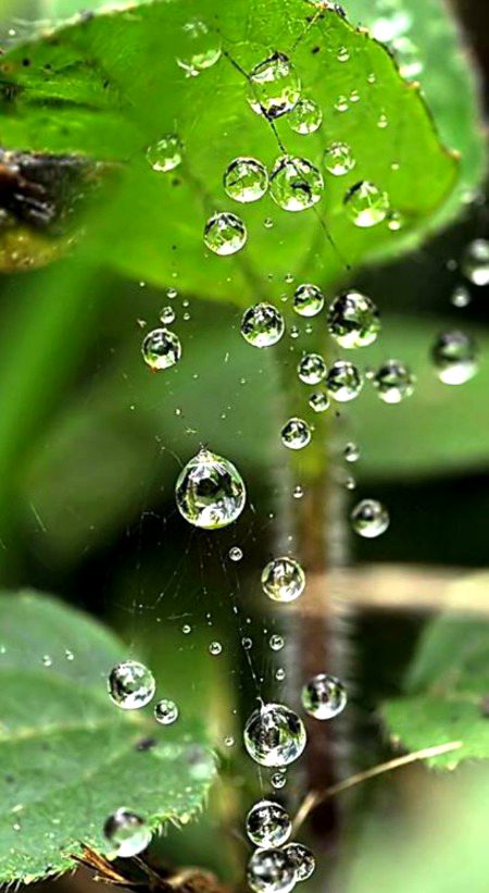 Rain Photography