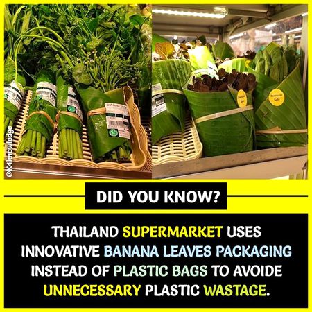 Did you Know