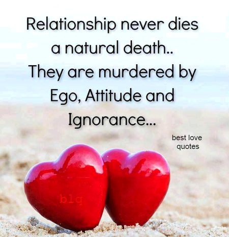 Relationships nEver diEs...