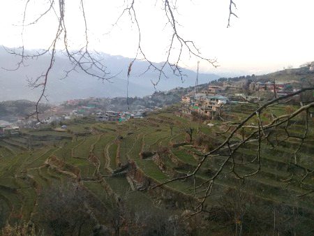 Beautiful Nature image