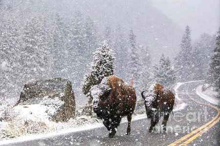 Beautiful Nature image