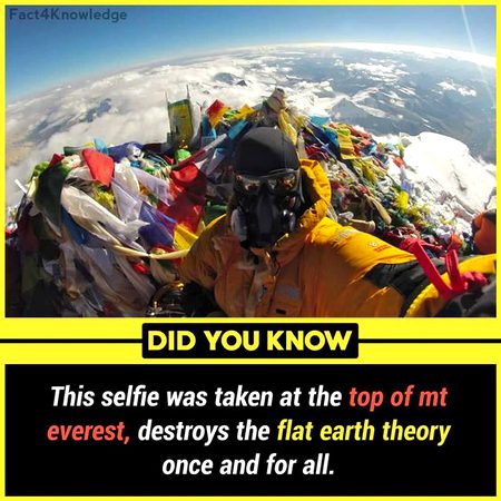 Did you Know