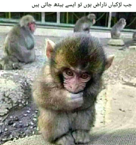 Meri behan Stcdd00😌😒...