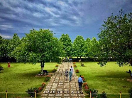 Beautiful Nature image