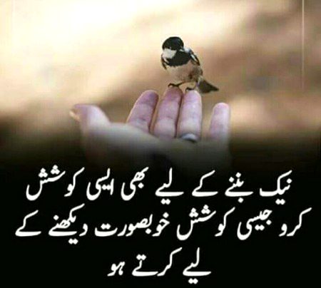 Asslamu Alikum