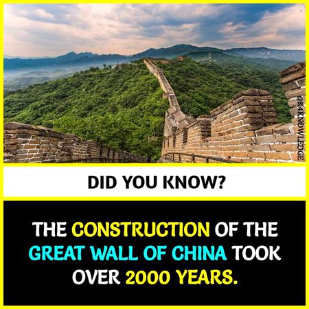 Did you Know