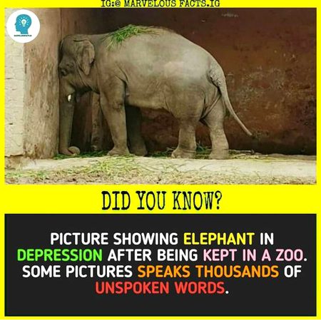 Did you Know
