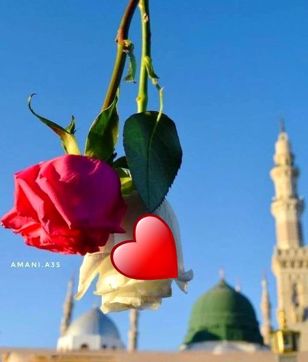 اللہ تعالیٰ ہم سب کو قیامت کے دن حضورﷺ کی شفاعت نصیب فرمائے۔ آمین💖*