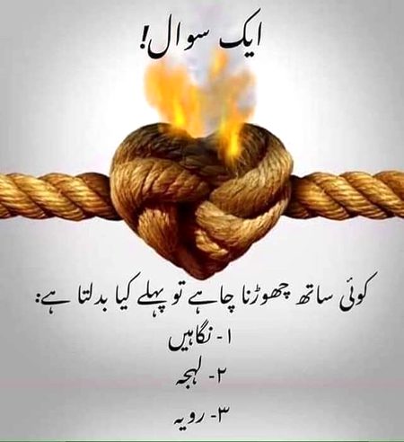 Jaldi se jawab do
