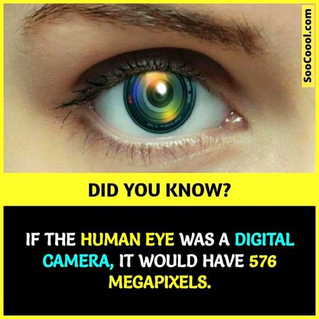 Did you Know