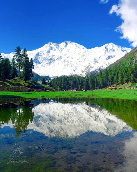 Beautiful Nature image