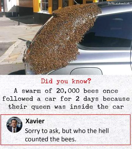 LAUGHED..wese interesting one lkn saw blast tha ..