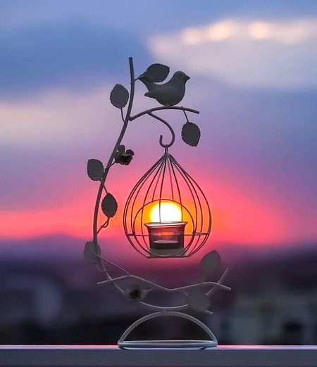 شب__بخیر

ڪبھی ڪبھی سوچتا ہوں لوگ بہرے ڪیوں ہو جاتے ہیں ___
پھر خیال آتا ہے لوگ بہرے نہیں ہوتے ___ بلکہ وہ تو وہی سننا چاہتے ہیں جو ان کا مطلب کا ہوتا ہے ____

باقی سب آوازیں تو دیوار سے ٹکرا ڪر مر جاتی ہیں ___بات ساری ترجیحات ڪی ہے___ ہم اگر سننا چاہئیں وہ ڪسی ڪی خاموش نظر___ میں بھی سن لیں__

اور جو نہیں سننا چاہیں تو ڪسی ڪی چیخوں میں بھی نہیں سنائی دیتا___ ڪسی ڪی خاموشی بھی الفاظ بن بن ڪر سماعتوں میں اترتی ہے ___

اور ڪسی ڪے بلند الفاظ بھی گونگے ہو جاتے ہیں ___