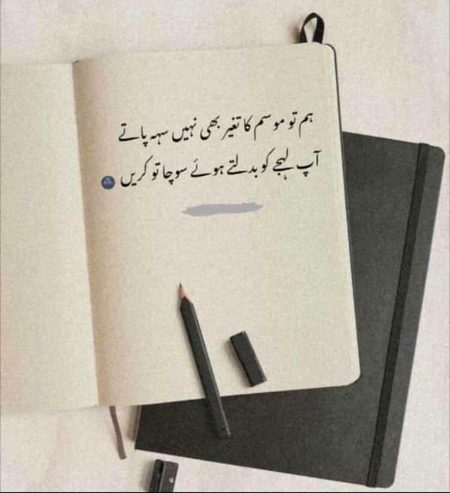 Sad Poetry image