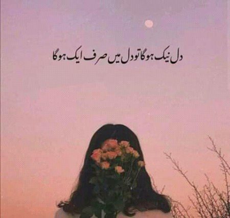 💗💗💗💗💖💖💖💗💗💗💗