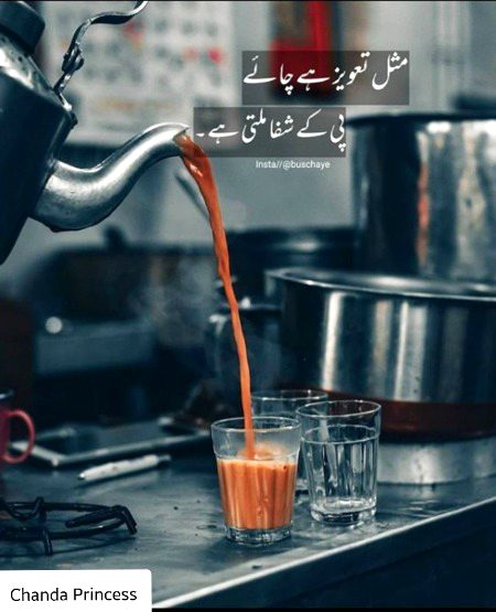 مثل تعویذ ہے چائے__پی کے شفاء ملتی ہے