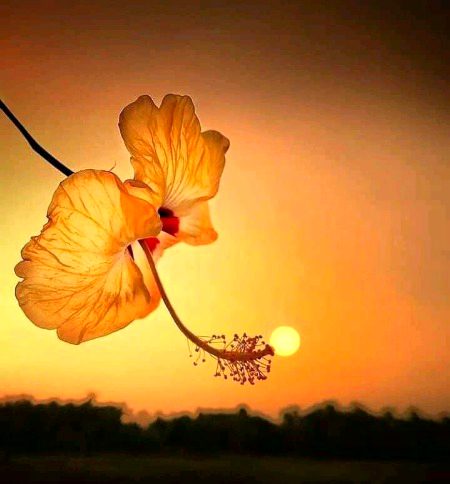 Photography 😍