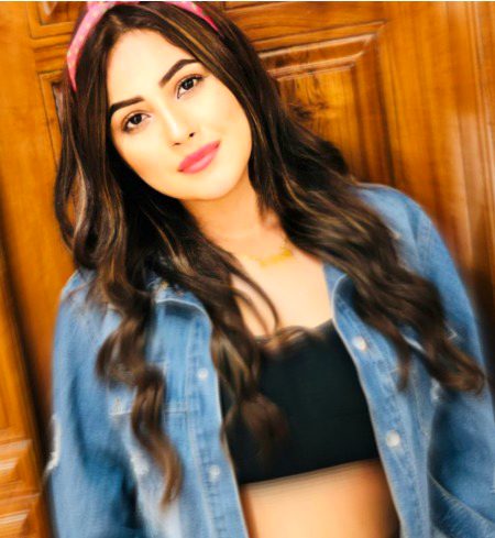 shehnaaz gill