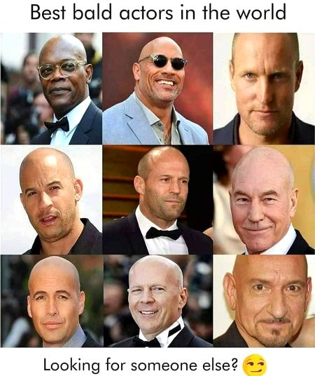 Memes & Satire image