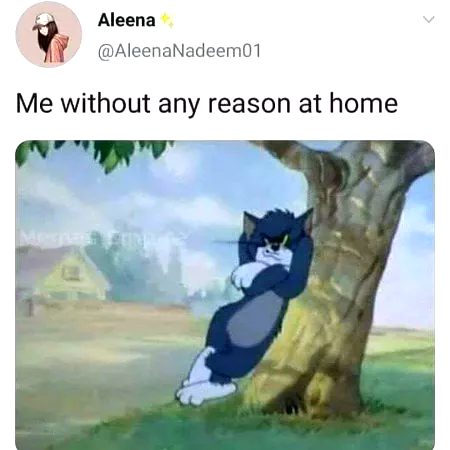 Memes & Satire image