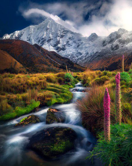 Beautiful Nature image