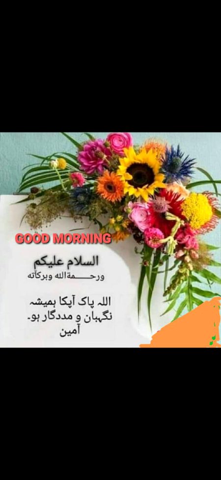 😊😎😍😘🤩🤗🙂☺️